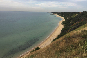 green exercise photo 1