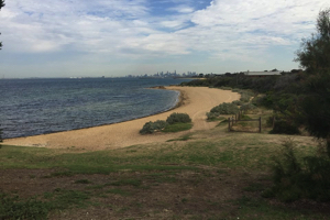 green exercise photo 2