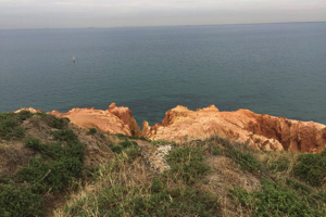 green exercise photo 3