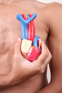 iStock_000002043215_Medium